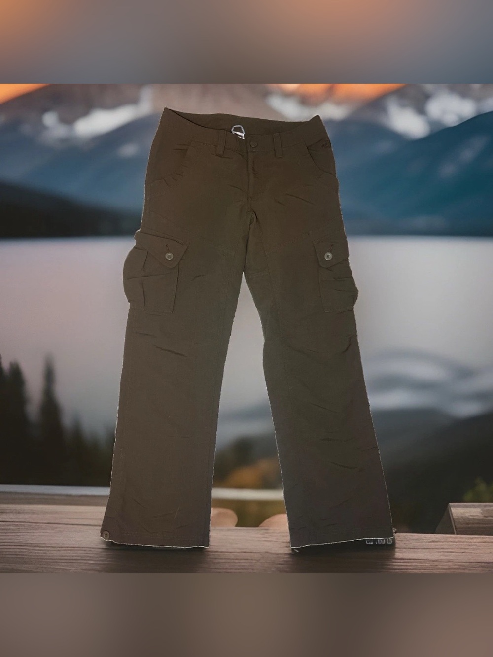 The North Face Cargo Pants Womens Size 8 Dark Brown